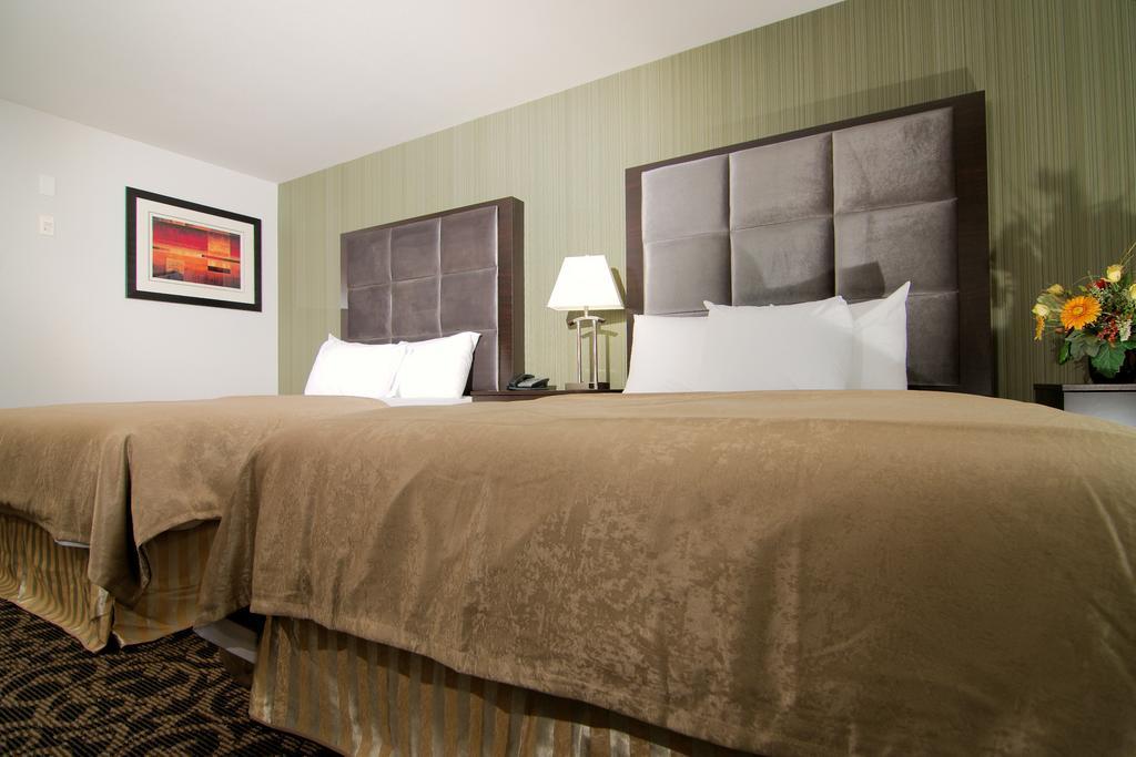Paradise Inn And Suites Redwater Номер фото